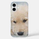 Recherche de chiot golden retriever iphone coques Extracteur