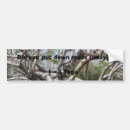 Recherche de branche voiture autocollants Arbre