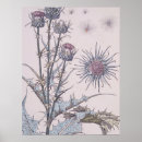 Recherche de chardon posters Floral
