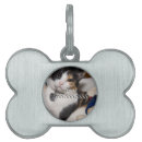 Recherche de vacances de chat articles Cats