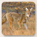 Recherche de fourrure dessous de verres Mammifère