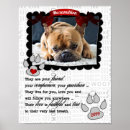 Recherche de poèmes de chien posters Animaux