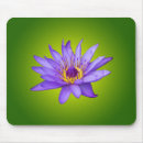 Recherche de nénuphar tapis souris Vert