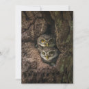 Recherche de owl remerciements cartes Woodland