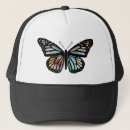 Recherche de papillon casquettes Insectes