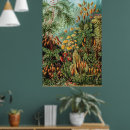 Recherche de plante posters Fleurs