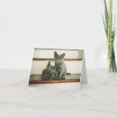 Recherche de chat bleu russe vœux cartes Mignon
