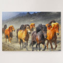 Recherche de running puzzles Animals