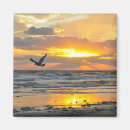 Recherche de mouettes magnets Lever de soleil