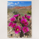 Recherche de mojave puzzles Nevada