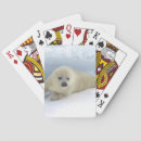 Recherche de mammifère marin jeux de cartes Animal