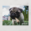 Recherche de votre propre image cartes postales Pour eux