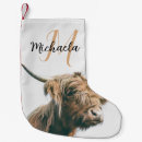 Recherche de bétail chaussette de noël Vache
