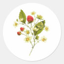 Recherche de fruit vintage autocollants Plante