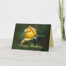Recherche de bourgeon de rose jaune Anniversaire