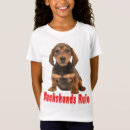 Recherche de dashounds Chiots