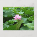 Recherche de religion asiatique cartes postales Oriental