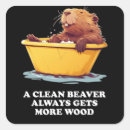 Recherche de beaver autocollants Amoureux des animaux