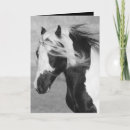 Recherche de cheval gitan vœux cartes Chevaux