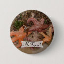 Recherche de étoiles badges Plage