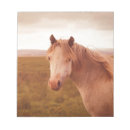 Recherche de cheval blocsnotes Vintage