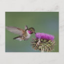 Recherche de monde naturel posters Amérique du nord