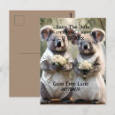 Recherche de koala cartes postales Pour tous