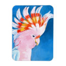 Recherche de oiseaux exotiques magnets Tropicaux