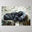 Recherche de infantile art Gorille