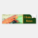 Recherche de salamandre voiture accessoires Animal