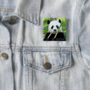 Recherche de bambou badges Panda géant