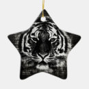 Recherche de tigre blanc ornements Sauvage