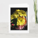 Recherche de fleur marguerite vœux cartes Bouquet