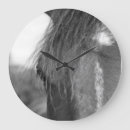 Recherche de pur horloges Équestre