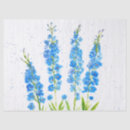 Recherche de delphiniums Aquarelle