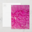 Recherche de texture rose cartes postales Photographie