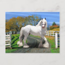 Recherche de noel cartes postales Animaux domestiques