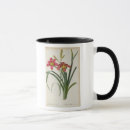 Recherche de redoute pierre joseph tasses Lis