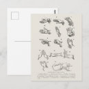 Recherche de gestes cartes postales Vintage