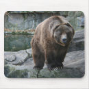Recherche de ours brun tapis souris Sauvage