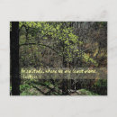 Recherche de solitude cartes postales Nature