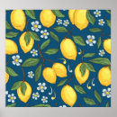 Recherche de illustrations vintages de fruit art Citron