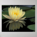 Recherche de louisville posters Réflexion