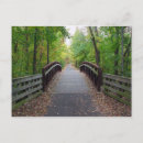 Recherche de chemin forestier cartes postales Bois