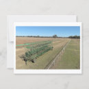 Recherche de galoper cartes postales Toute personne