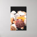 Recherche de copie de grand format posters Assortis
