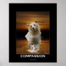Recherche de ours blanc posters Faune