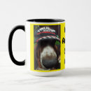 Recherche de basset tasses Chiens