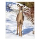 Recherche de alerte art Animal
