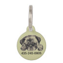 Recherche de caniche mignon animaux articles Caniches